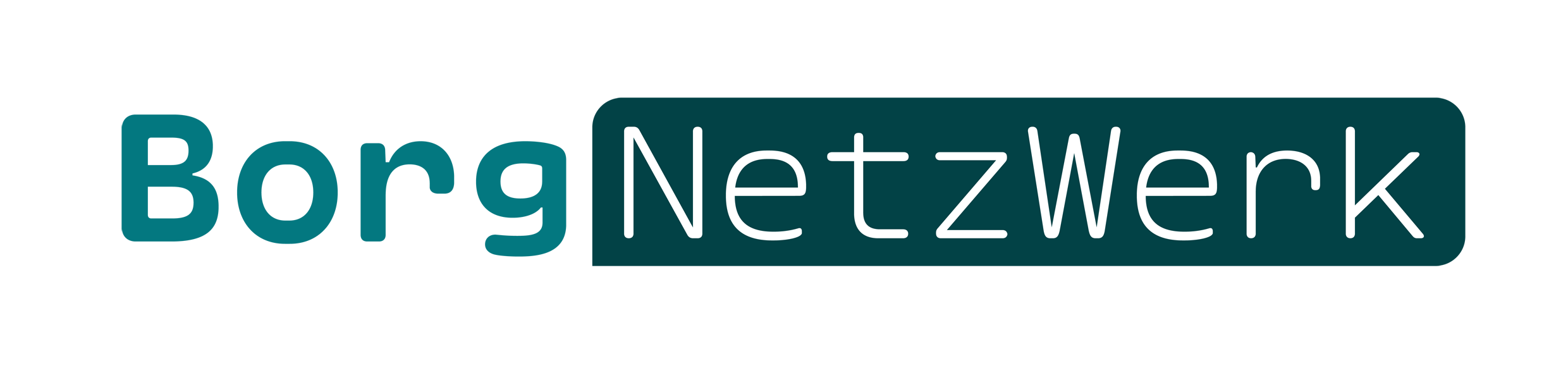 BorgNetzWerk.org